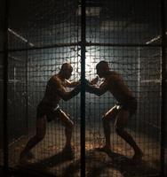  cage-fighters 